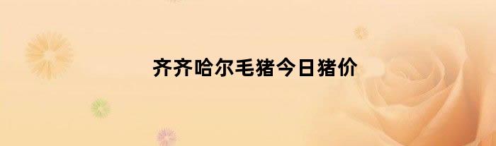 齐齐哈尔毛猪今日猪价