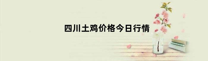 四川土鸡价格今日行情