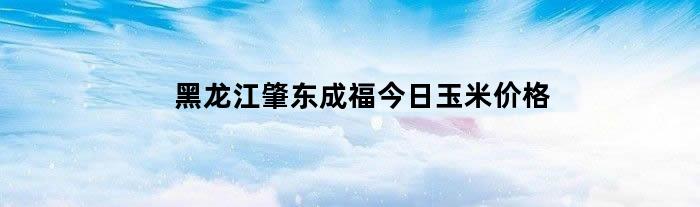 黑龙江肇东成福今日玉米价格