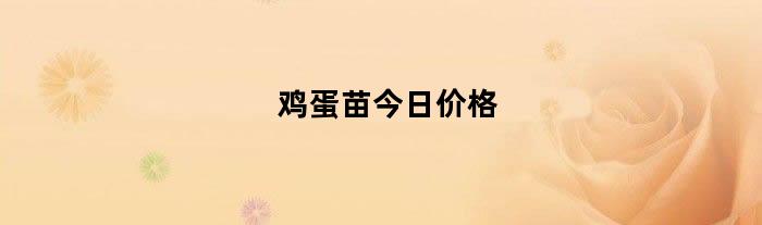 鸡蛋苗今日价格