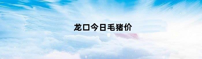 龙口今日毛猪价