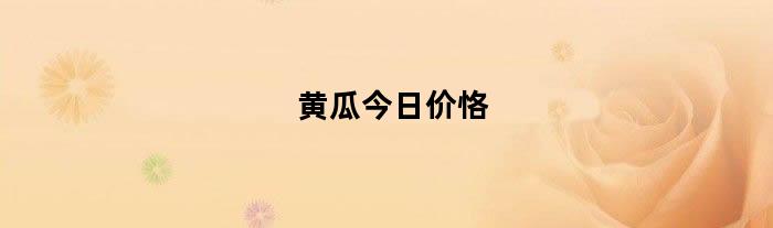 黄瓜今日价恪