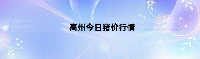 高州今日猪价行情