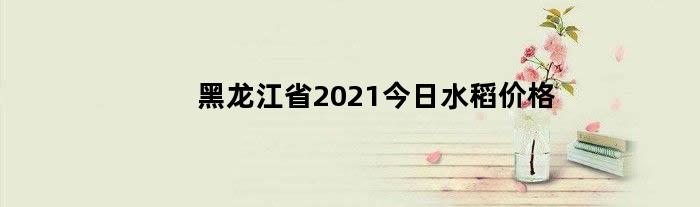 黑龙江省2024今日水稻价格