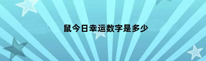 鼠今日幸运数字是多少