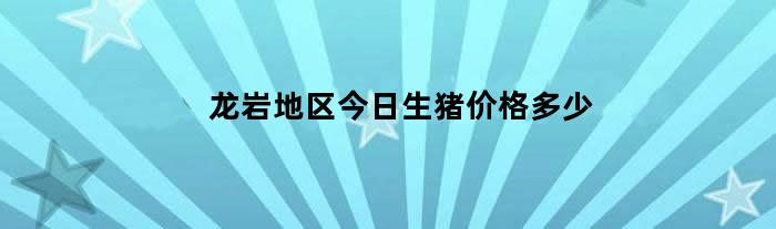 龙岩地区今日生猪价格多少