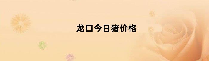 龙口今日猪价格