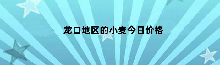 龙口地区的小麦今日价格