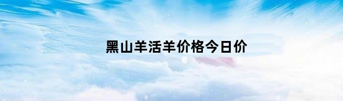 黑山羊活羊价格今日价