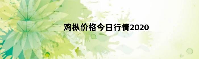 鸡枞价格今日行情2024